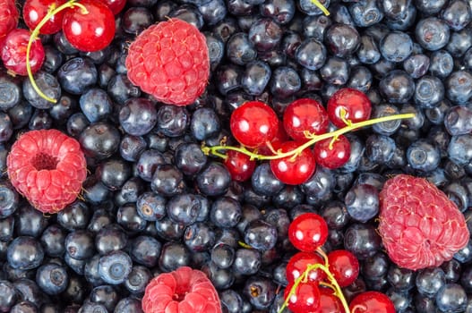 Background made of blueberries, raspberries and red currant