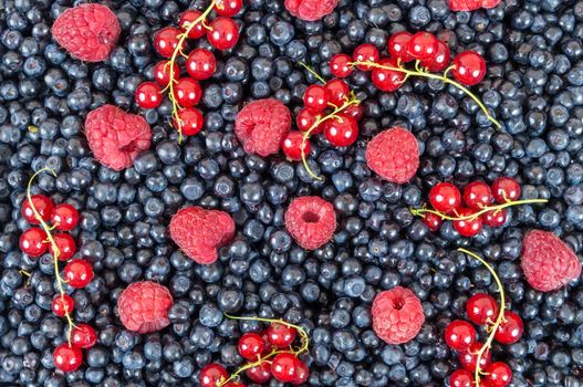 Background made of blueberries, raspberries and red currant