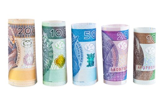 Rolled polish zloty new banknotes isolated on white background with clipping path