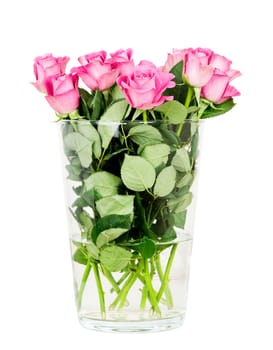 Bouquet of blossoming pink roses in vase isolated on white background