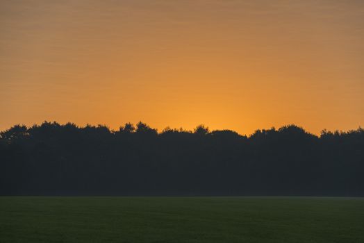 Sunrise above a meadow and forest as a background
