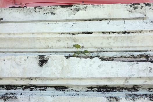 Texture of stained cement wall with stairs