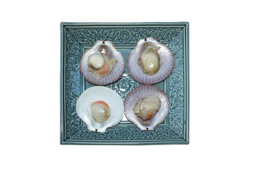 Raw fresh scallop