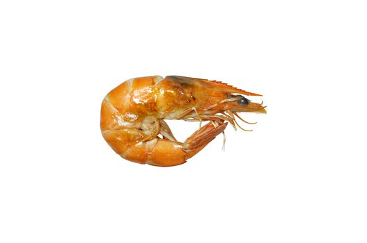 Cooked, grilled shrimp or prawn