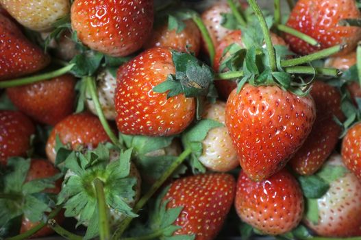 Fresh strawberries