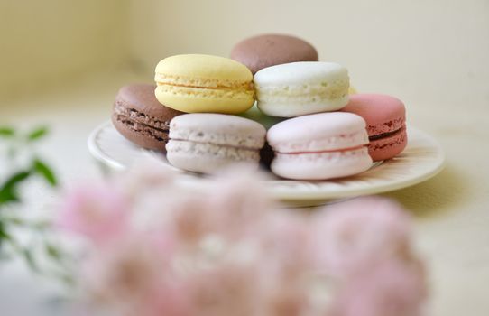 Macaron is a sweet dessert made from polymer mixtures rack sink with egg whites, icing sugar, white sugar, almond powder or almond meal. And food coloring Macaron shape sandwich A splice two pieces of bread Have stuffed the middle