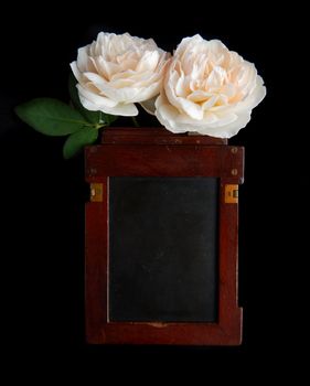 Vintage rose and blank photo frame on black background