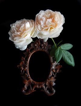 Vintage rose and blank photo frame on black background