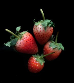 Strawberries berry isolated on black background







strawberry