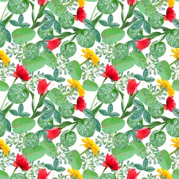 Seamless organic eco botanical pattern for design