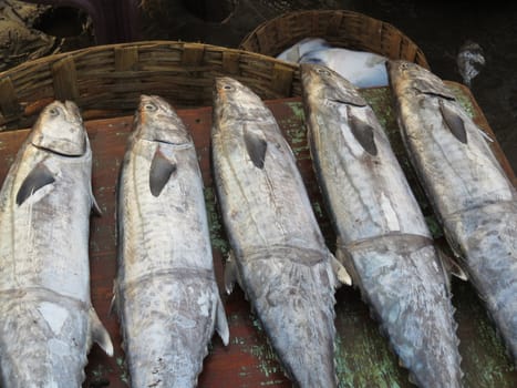 A fresh catch of fish for sale on a wooden plant on a seaside fishermans basket in India.                               