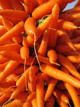 A background of a stack of farm fresh bright orange carrots                               