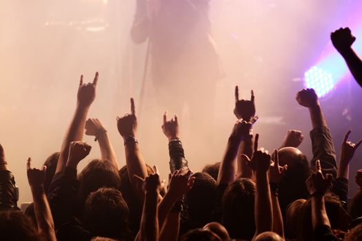 Crowd rocking on the concert