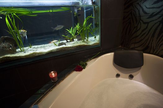 fish tank in luxurious bathroom