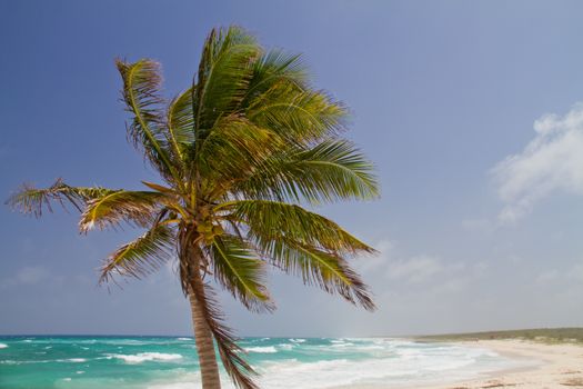 Scebe of a beach with waves (shot in Caribbean - Cozumel, Cancun, Mexico)