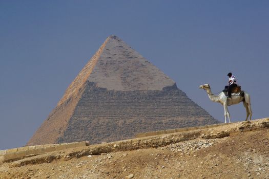 Pyramid of Khafre (Chephren) in Giza - Cairo, Egypt with a tourist police on a camel