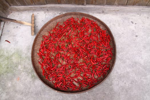 Chili peppers in a basket