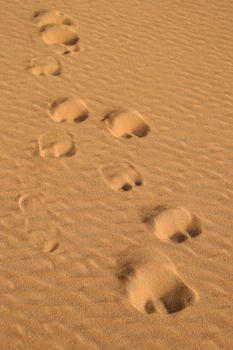 Camel traces in the desert