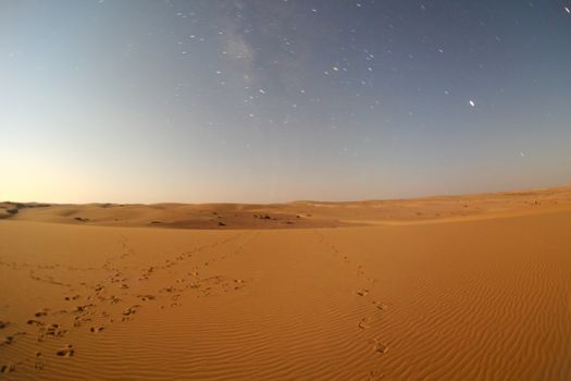 Desert in the moonlight