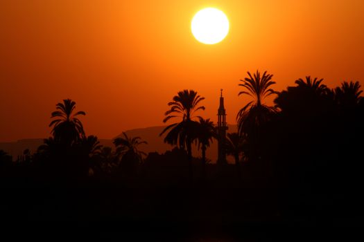 Sunset somewhere in the eastern worls (palm trees and a mosque with minaret as a silhouetts)