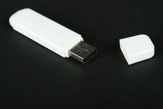 White black usb key - you can put your sign on the housing