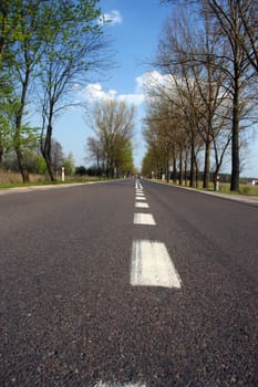 Country road in Europe at summer/spring time