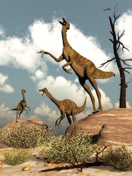 Gallimimus dinosaurs herd in the desert by day - 3D render