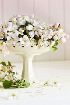 Fresh apple blossoms on white table