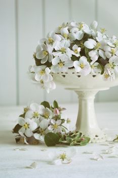 Still life with spring apple blossoms in vase on table