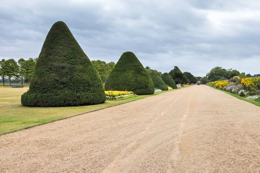 London, United Kingdom - AUGUST 26, 2009: View of beautiful alley in Hampton Court gardens. It was originally built for Cardinal Thomas Wolsey, a favorite of King Henry VIII.