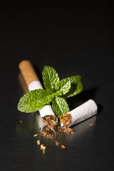 Broken cigarette with fresh mint, on black background