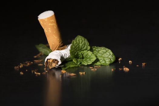 Broken cigarette with fresh mint, on black background