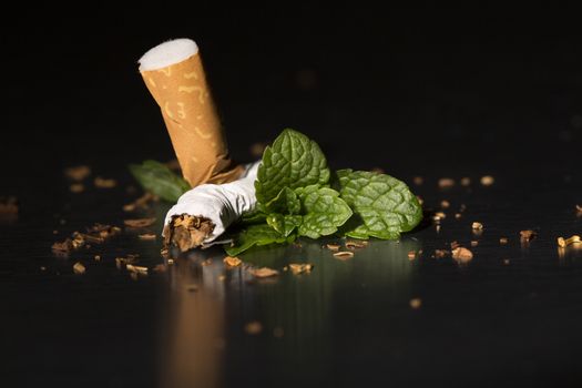 Broken cigarette with fresh mint, on black background