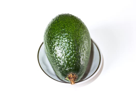 avocado fruit isolated