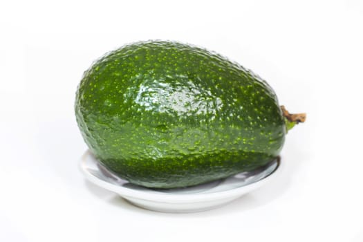 avocado fruit isolated