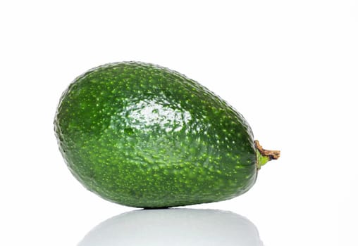 avocado fruit isolated