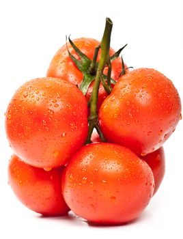 fresh tomatoes on a white background