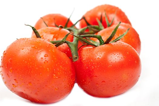 fresh tomatoes on a white background