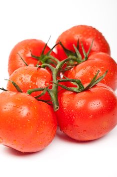 fresh tomatoes on a white background