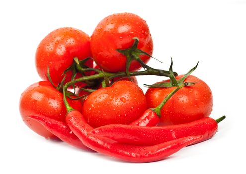 tomatoes and hot peppers on a white background