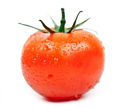 fresh tomato with drops of water on a white background