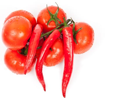 tomatoes and hot peppers on a white background