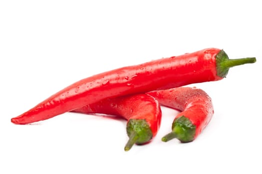 kransny hot peppers on a white background