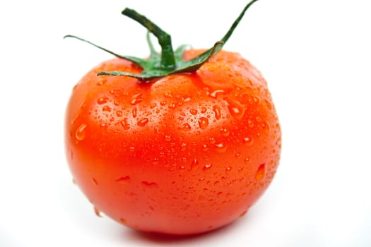 fresh tomato with drops of water on a white background