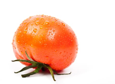fresh tomato with drops of water on a white background