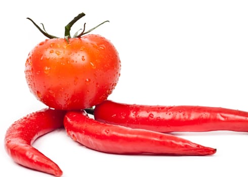 tomatoes and hot peppers on a white background