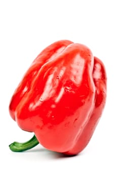 fresh red peppers on a light background