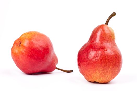 two red pears on white background