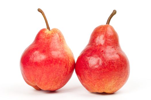 two red pears on white background