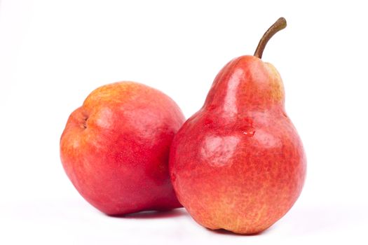 two red pears on white background